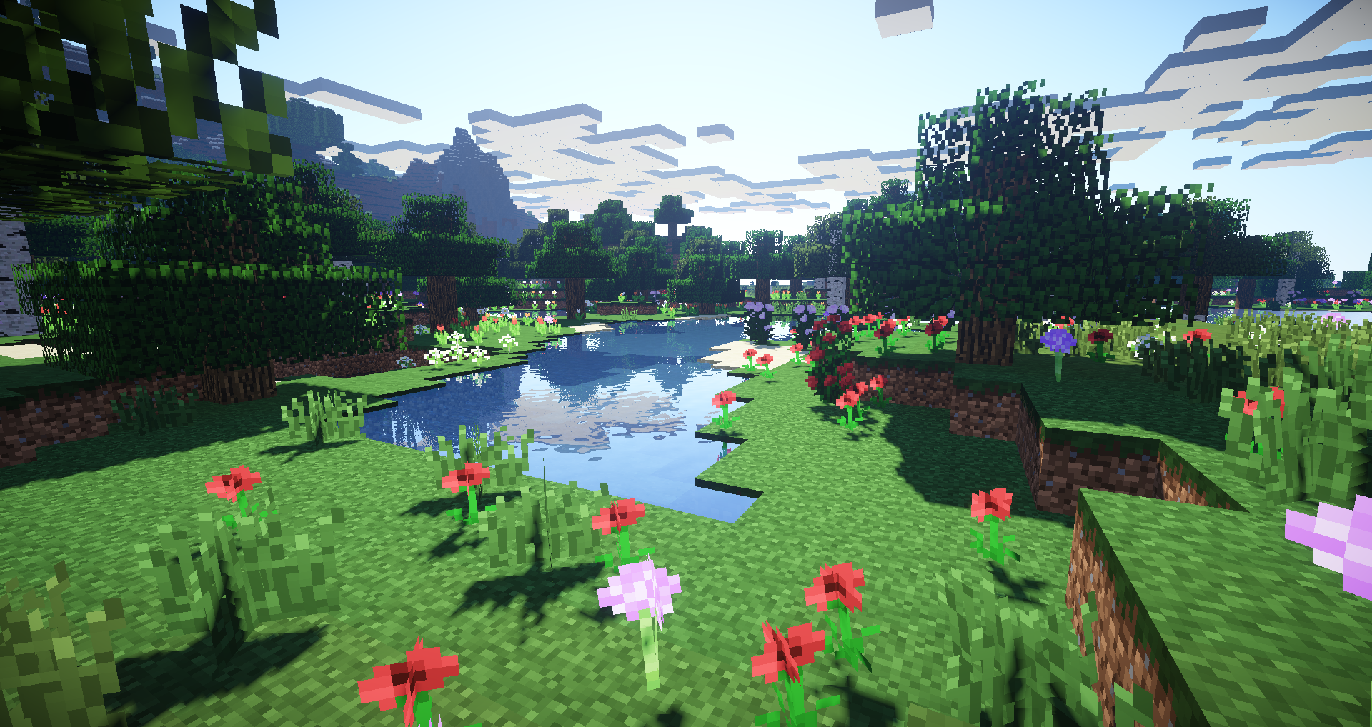 Jolies fleurs